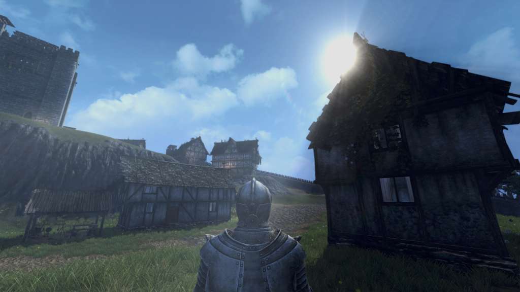 Life is Feudal: Your Own Steam CD Key 24.4 $