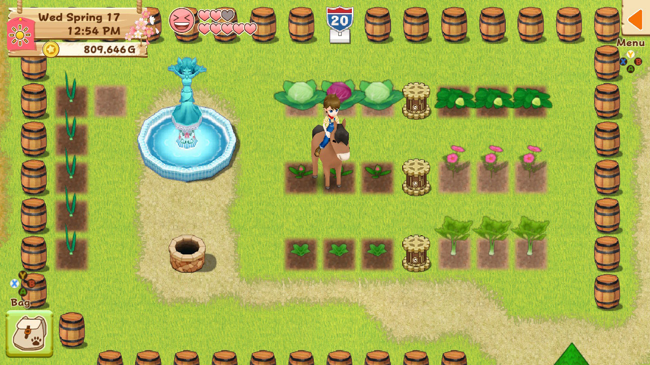 Harvest Moon: Light of Hope Special Edition - Decorations & Tool Upgrade Pack Steam CD Key 0.84 $