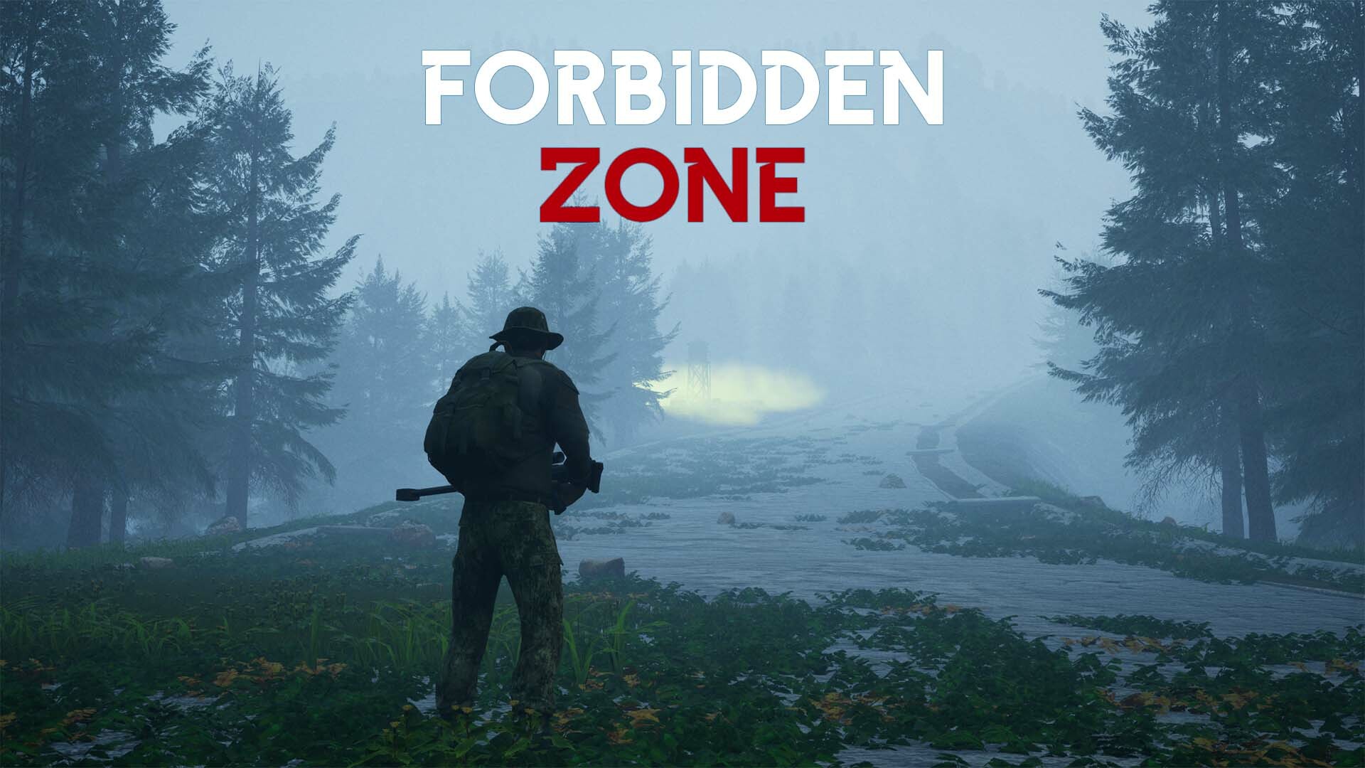 Forbidden zone Steam CD Key 2.44 $