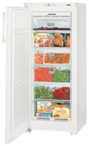 larawan Refrigerator Liebherr GNP 2313