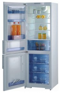 larawan Refrigerator Gorenje RK 61341 W