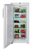 larawan Refrigerator Liebherr GNP 31560