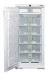 Liebherr GSNP 2426 Холодильник
