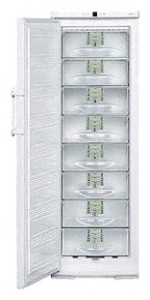 larawan Refrigerator Liebherr G 31130
