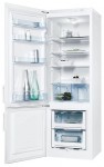 Electrolux ERB 23010 W Холодильник