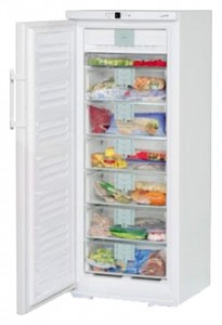 larawan Refrigerator Liebherr GNP 2906