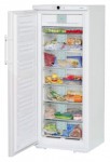 Liebherr GNP 2906 Холодильник