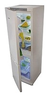 larawan Refrigerator Snaige RF34SM-S10001