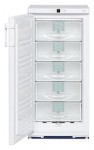 Liebherr G 2013 Холодильник