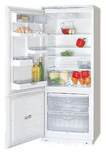 ảnh Tủ lạnh ATLANT ХМ 4009-013