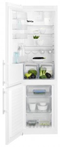 фото Холодильник Electrolux EN 3852 JOW