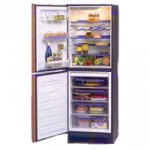 Electrolux ER 8396 Refrigerator
