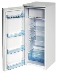 Бирюса R110CA Tủ lạnh