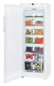 larawan Refrigerator Liebherr GN 2723