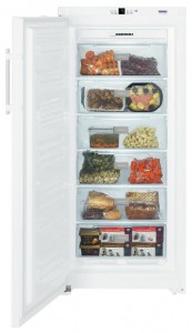 larawan Refrigerator Liebherr GN 3113