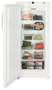 larawan Refrigerator Liebherr GNP 3113