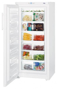 larawan Refrigerator Liebherr G 3013