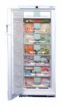 Liebherr GSND 2923 Холодильник