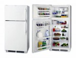 Frigidaire FGTG 16V6 A Холодильник