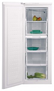 Photo Fridge BEKO FSE 21906