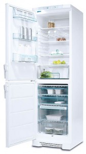 larawan Refrigerator Electrolux ERB 3911