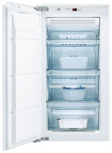 фото Холодильник AEG AN 91050 4I