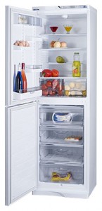 фото Холодильник ATLANT МХМ 1848-10