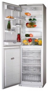 фото Холодильник ATLANT ХМ 6025-180