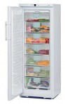 Liebherr GN 2556 Fridge