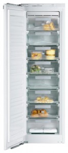 larawan Refrigerator Miele FN 9752 I