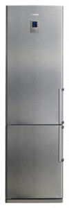larawan Refrigerator Samsung RL-41 ECIS