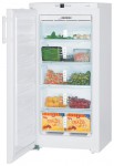 Liebherr GN 1913 Холодильник