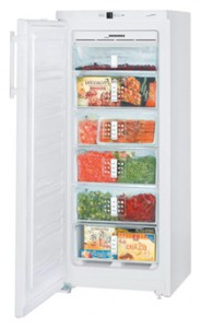 larawan Refrigerator Liebherr GN 2313