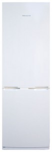 ảnh Tủ lạnh Snaige RF31SH-S10001
