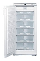 larawan Refrigerator Liebherr GSN 2423