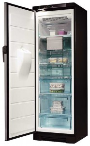 larawan Refrigerator Electrolux EUFG 2900 X