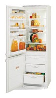 фото Холодильник ATLANT МХМ 1804-03