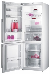 larawan Refrigerator Gorenje RK 68 SYW
