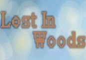 Lost in Woods 2 Steam CD Key 0.96 $