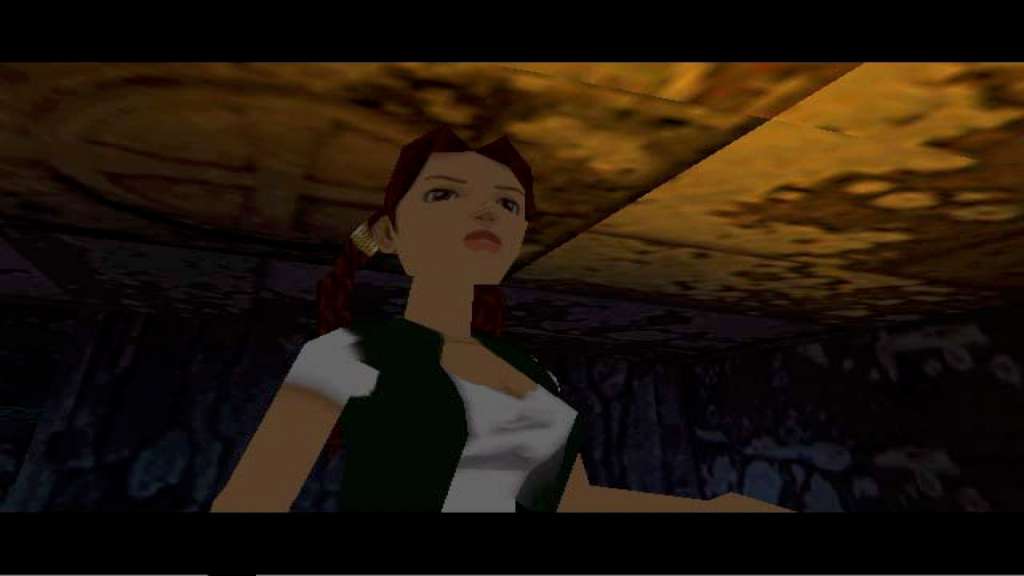 Tomb Raider V: Chronicles Steam Gift 56.49 $
