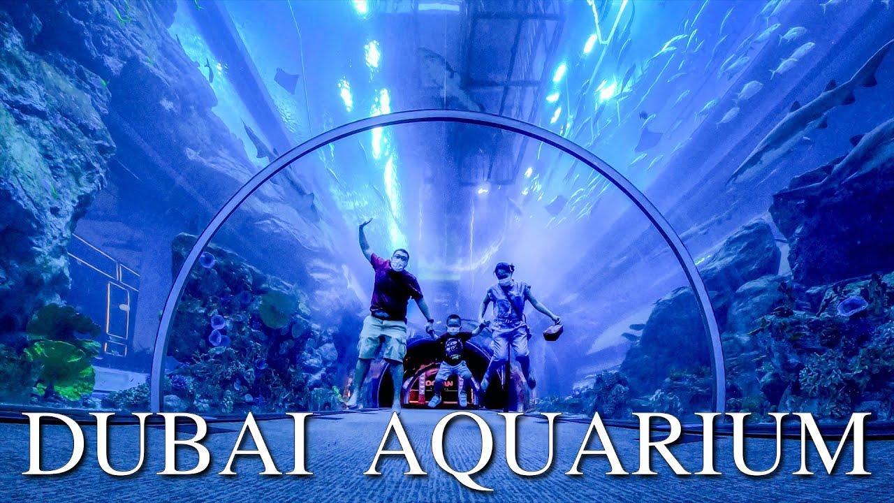 Dubai Aquarium & Underwater Zoo 50 AED Gift Card AE 16.02 $