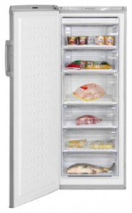 larawan Refrigerator BEKO FS 225320 X