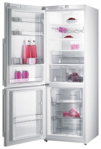 larawan Refrigerator Gorenje RK 65 SYA