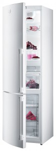 larawan Refrigerator Gorenje RK 65 SYW2