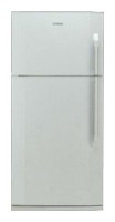 larawan Refrigerator BEKO DN 150100