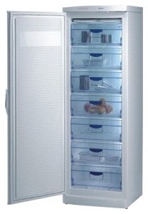 larawan Refrigerator Gorenje F 6313