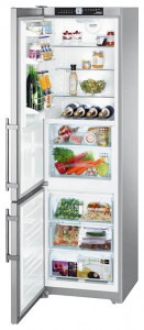 larawan Refrigerator Liebherr CBNPes 3756