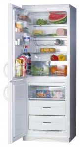 larawan Refrigerator Snaige RF310-1803A