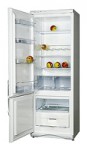 Snaige RF315-1T03А Frigo