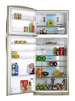 фото Холодильник Toshiba GR-H74TR MC